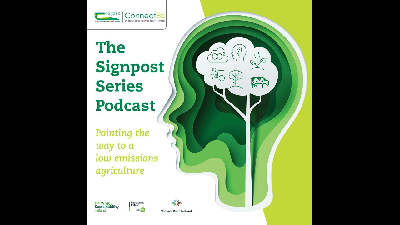 The journey to increase biodiversity at the CAFRE Glenwherry Hill Farm