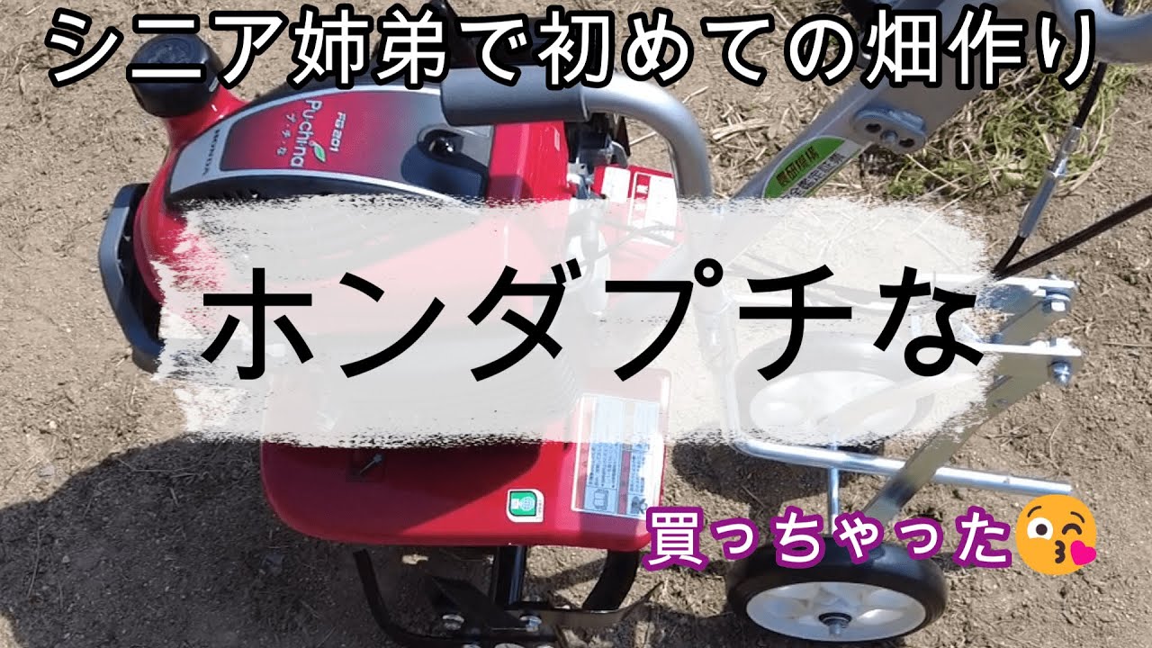 ホンダ　プチな購入🍅 初めての家庭菜園🍆🥒　素人菜園😎
