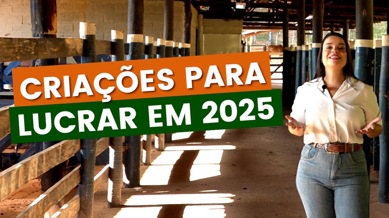 Comece o ano lucrando com essas criações l Cursos CPT