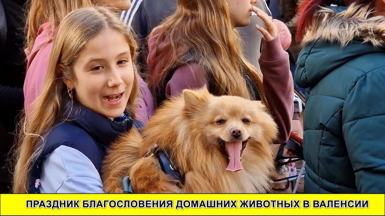 Праздник благословения домашних животных! Это круто!