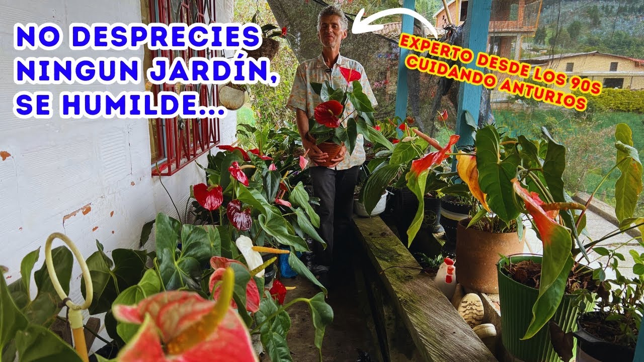 Jaimesito un experto en PLANTAS, jardín de ANTURIOS maravilloso: “todos hemos PERDIDO una PLANTA”|AP