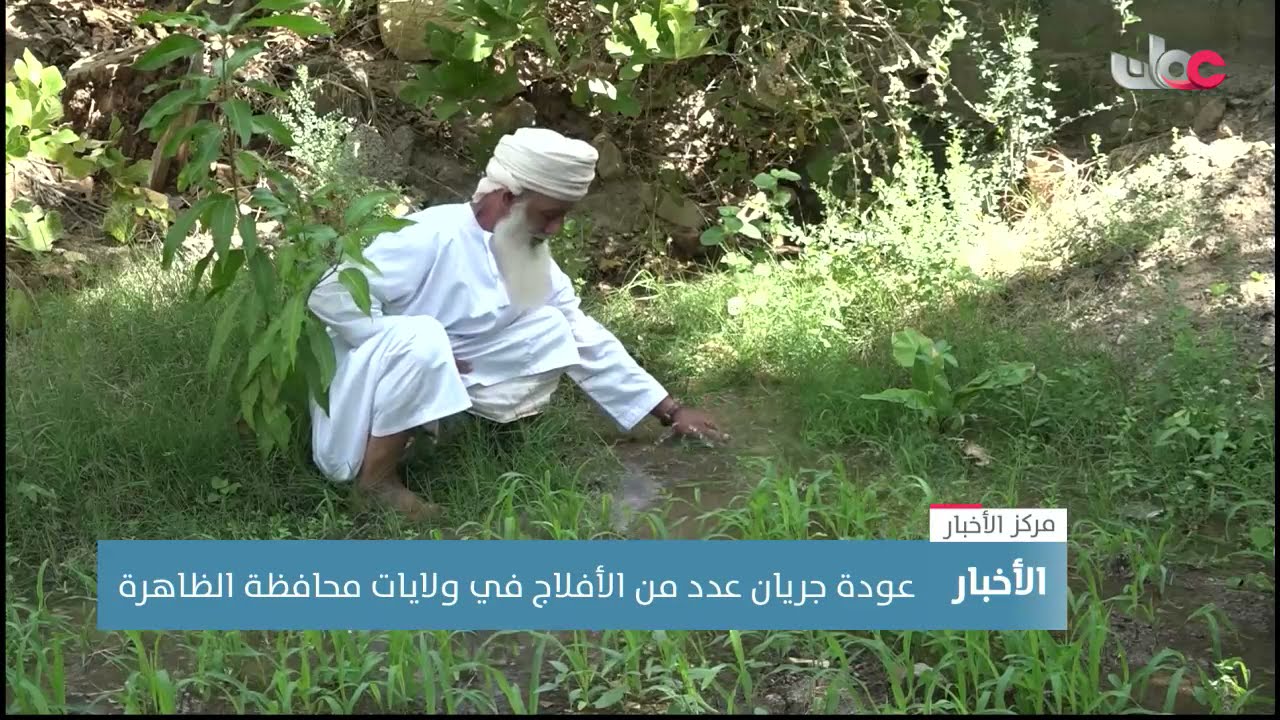 عودة جريان عدد من الأفلاج في ولايات محافظة الظاهرة