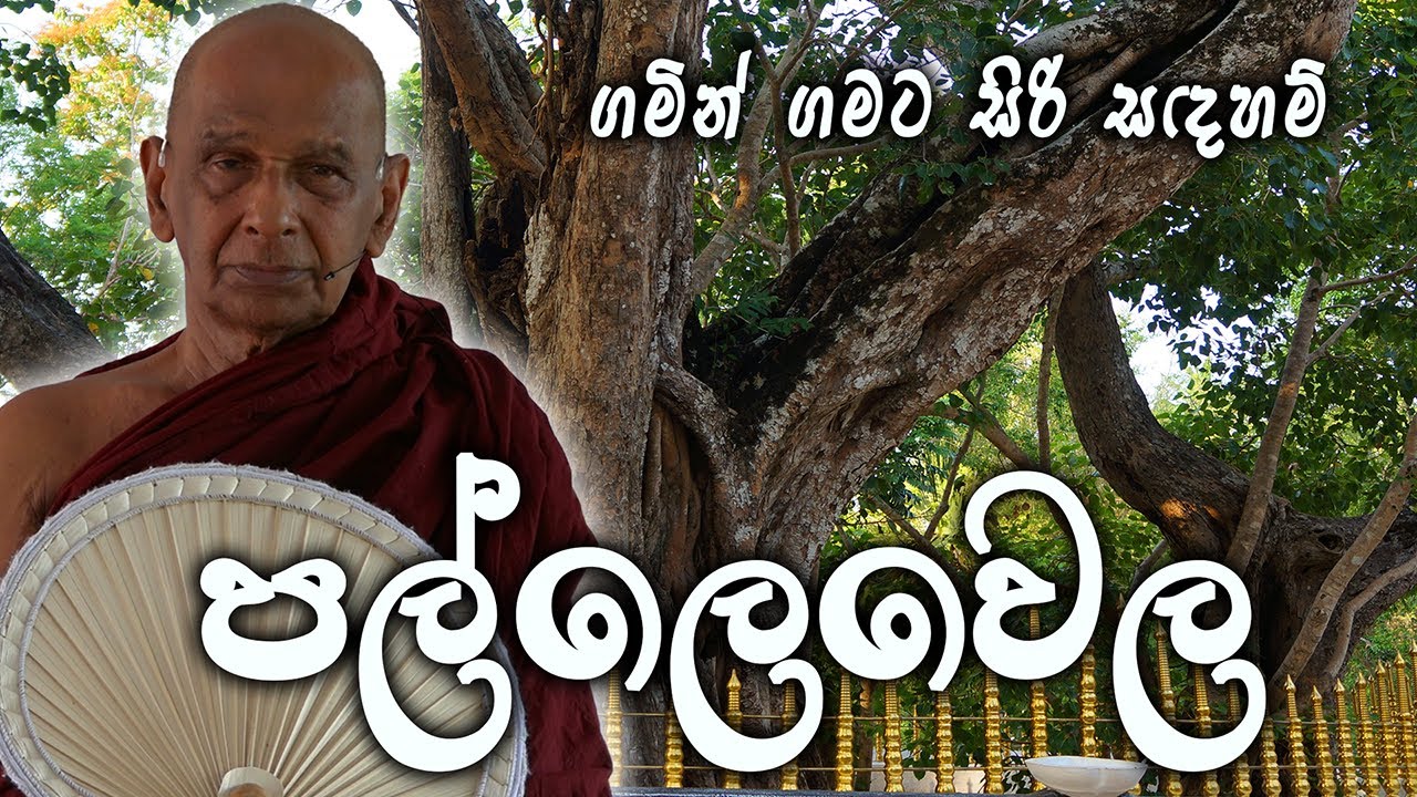 ප‍ල්ලෙවෙල (2024-06-09) | ගමින් ගමට ​| මීවනපලානේ සිරි ධම්මාලංකාර මහා අරිහත් බුදුපියානන් වහන්සේ