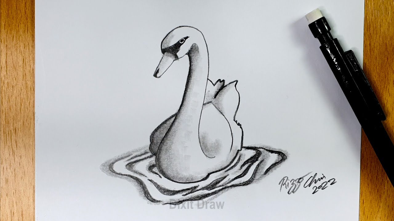 Wie zeichnet man einen Schwan auf dem Wasser | Bleistiftzeichnung auf Papier | Zeichnungs Tutorial