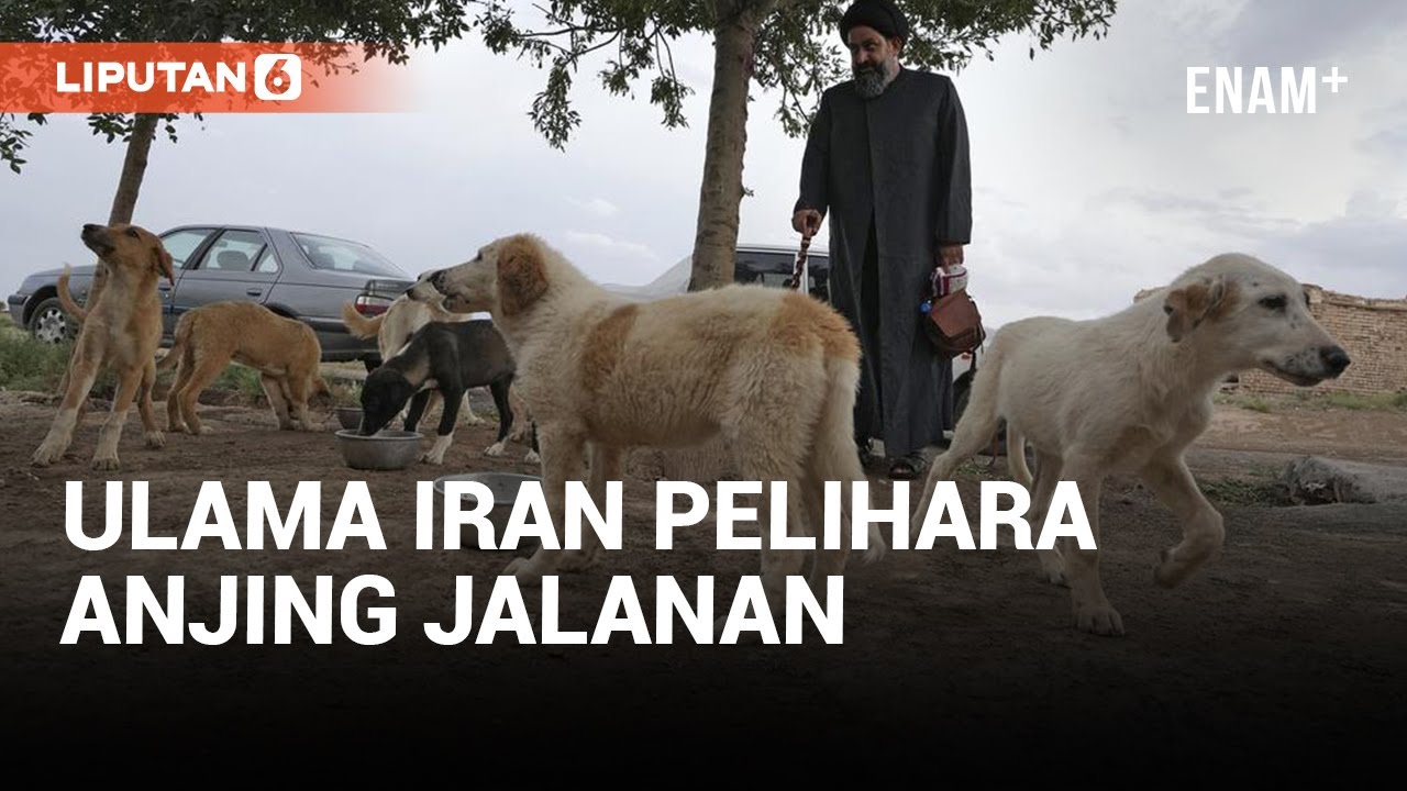 Sayed Mahdi Tabatabaei, Ulama Iran yang Penuh Kontroversi | Liputan6