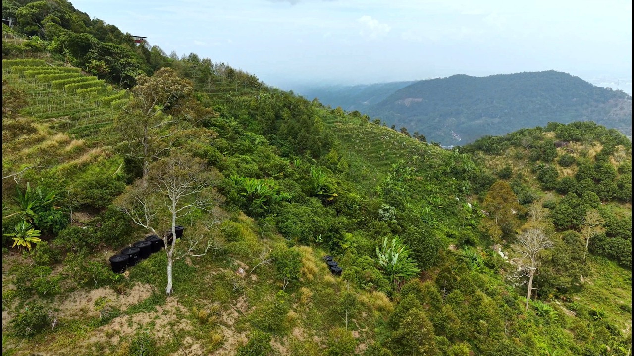 Paya Terubong, Penang Hilltop