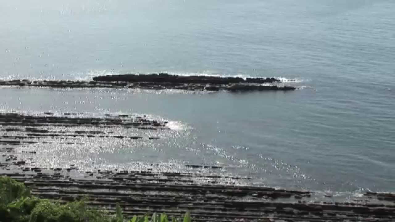 河瀨直美監督作品 [美しき日本] 宮崎　神が降りし日向の国　日南市