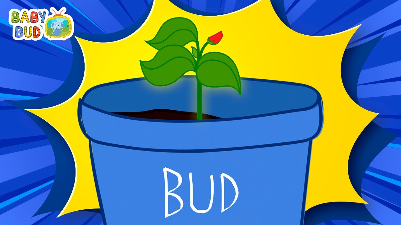 Bud's Plant | Learning Cartoons for Kids | Funny Kids Video | Best Toons for Children | Baby Bud TV