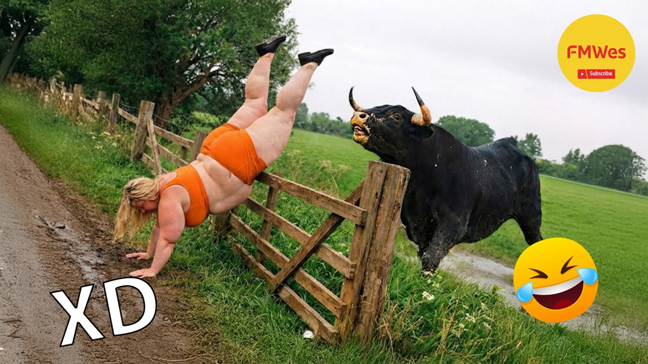 SI TE RÍES PIERDES NIVEL DIOS #644 🤣 VIDEOS DE RISA MUY GRACIOSOS 2026 🤣