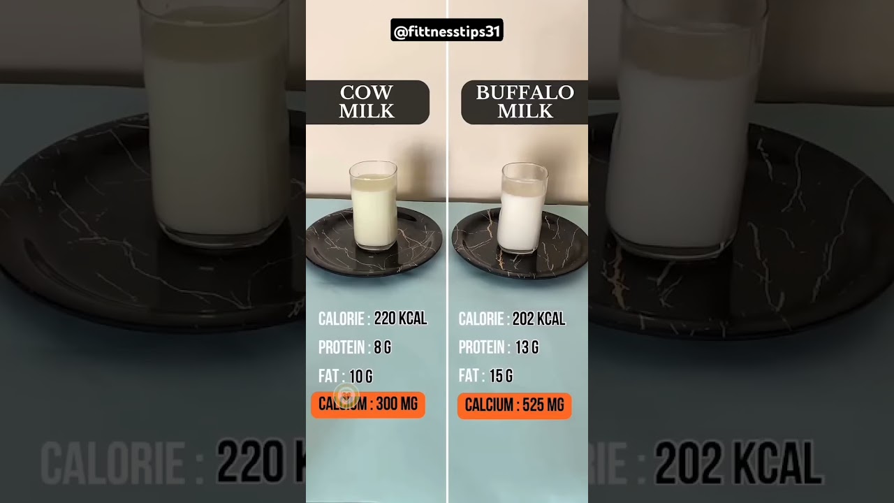 Cow milk 🆚Buffalo milk #benefitsofhealthyfood #food #eatandlose #dietplan #healthylifestyleeats