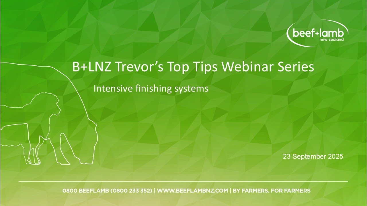B+LNZ Trevor's Top Tips Webinar series - part two: Intensive lamb finishing