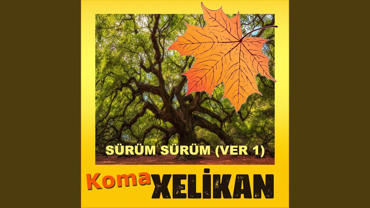 Sürüm Sürüm (Versiyon 1)