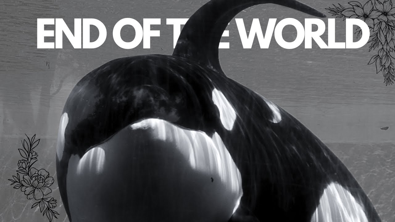 end of the world