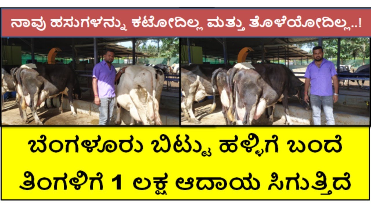 10 ಹಸುಗಳಿಂದ ದಿನಕ್ಕೆ 220 ಲೀಟರ್ ಹಾಲು ಬರುತ್ತಿದೆ...!