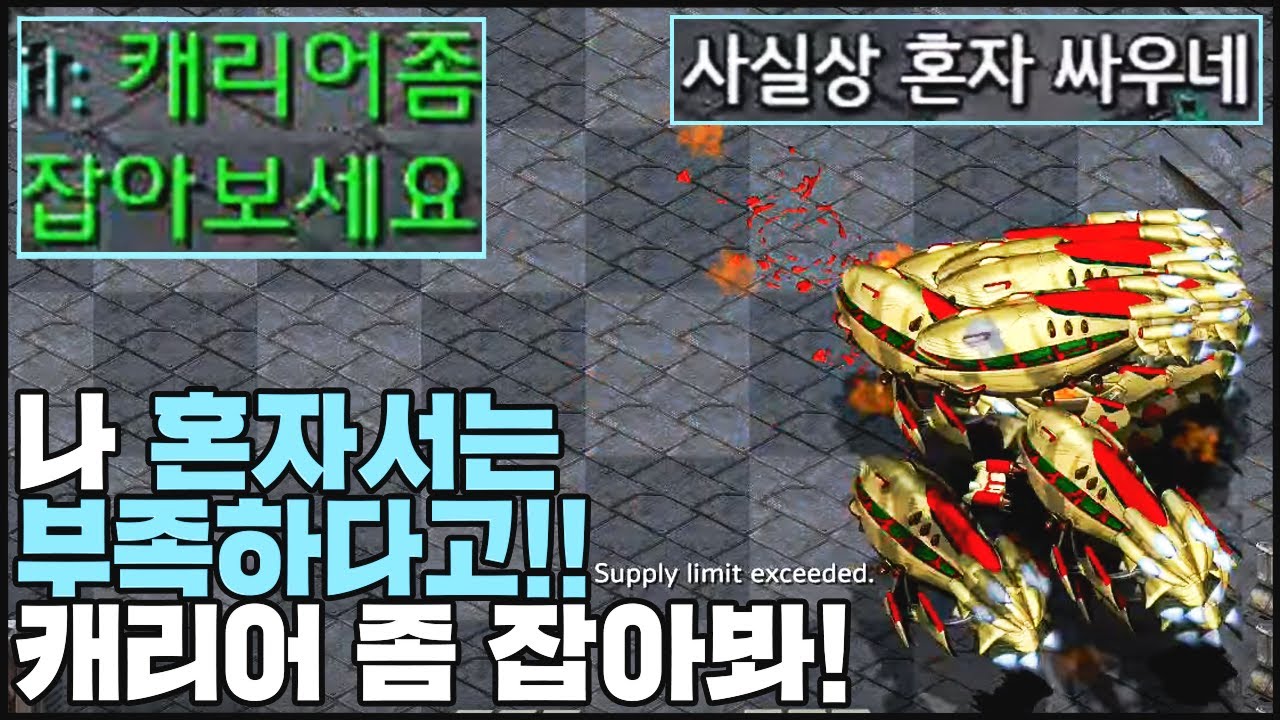 진짜 대박! ㅋㅋㅋㅋ 누가 저 캐리어 좀 잡아봐유~