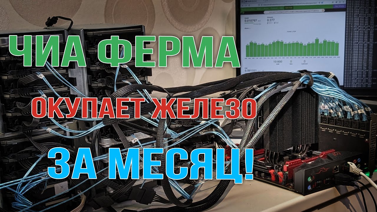 Чиа ферма окупает железо за месяц!