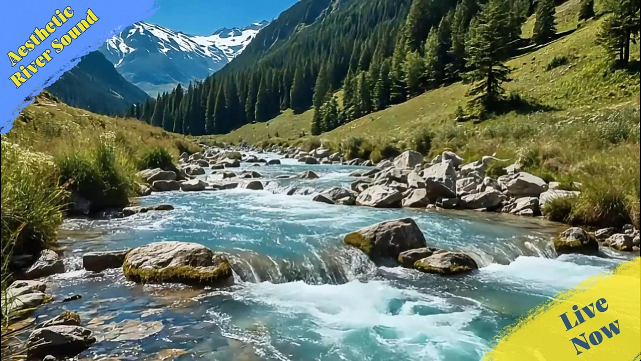 Close Your Eyes, It Is Time 🌙 River ASMR, nature white noise