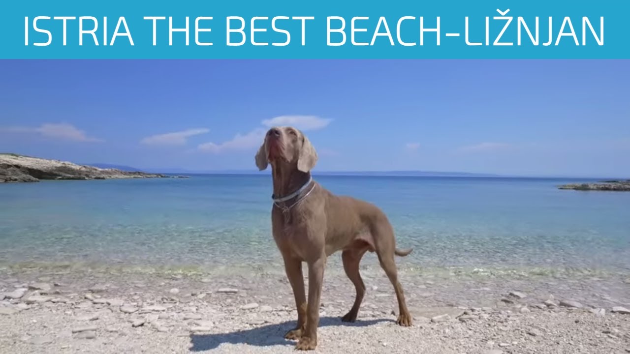 🔵 Liznjan, Sišan natural beaches |Beaches in Croatia | Top Beaches Istria | Beaches Croatia | Sandy