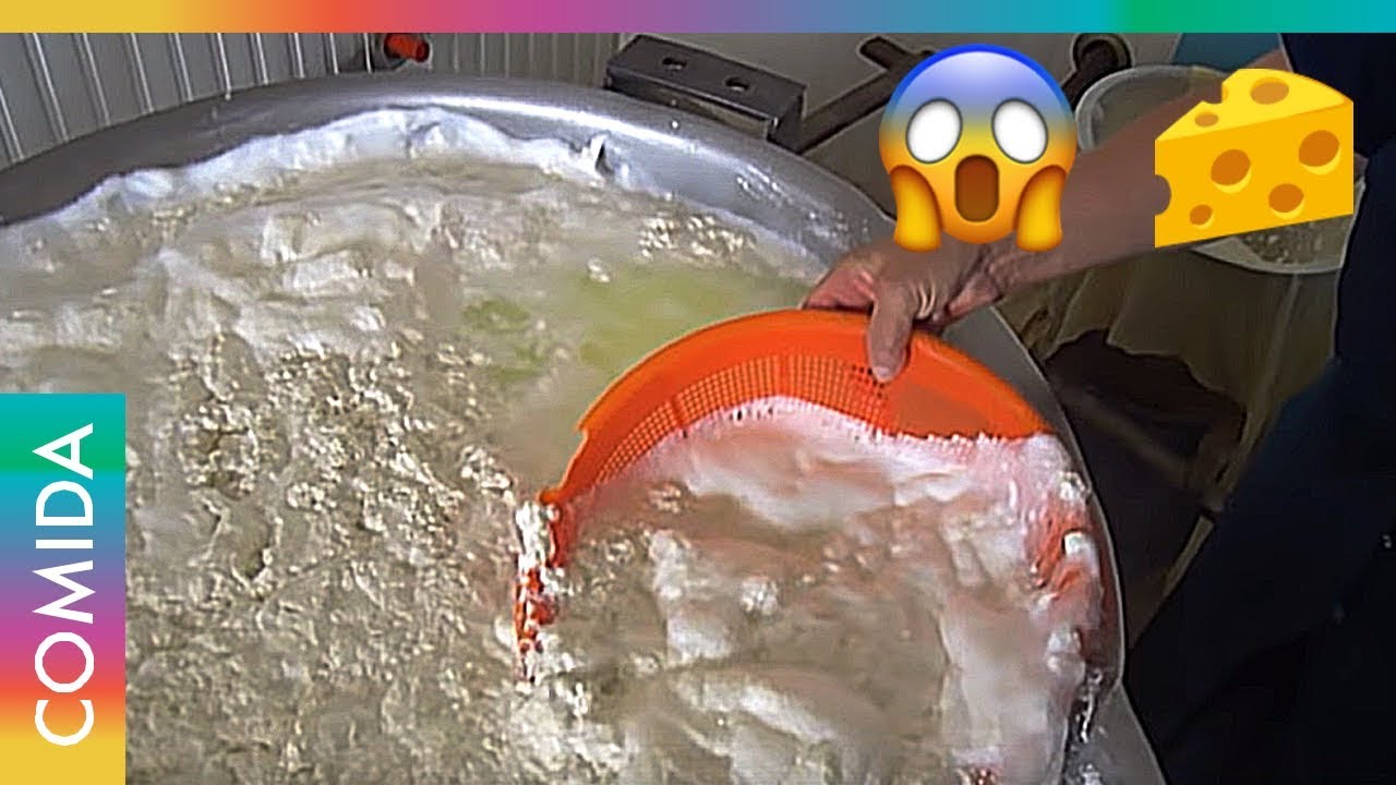 Así se produce el queso 