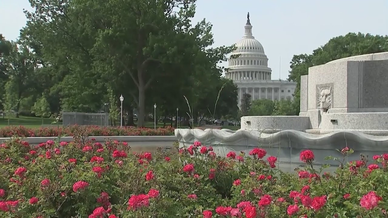 В Пакистане начались переговоры между США и Ираном на фоне сохранения хрупкого перемирия в войне.