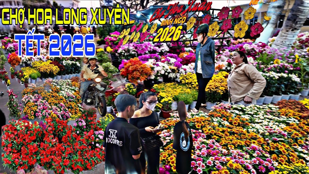 CHỢ HOA TẾT 2026 LONG XUYÊN, XUẤT HIỆN LOẠI HOA LỲ LẠ NÀY ĐỘC ĐÁO