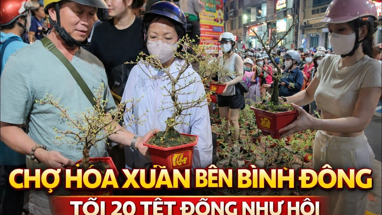 Cận cảnh Xếp Hàng Mua Hoa Mai Giá Rẻ Giàu Nghèo Gì Cũng Phải Có Hoa Chơi Tết