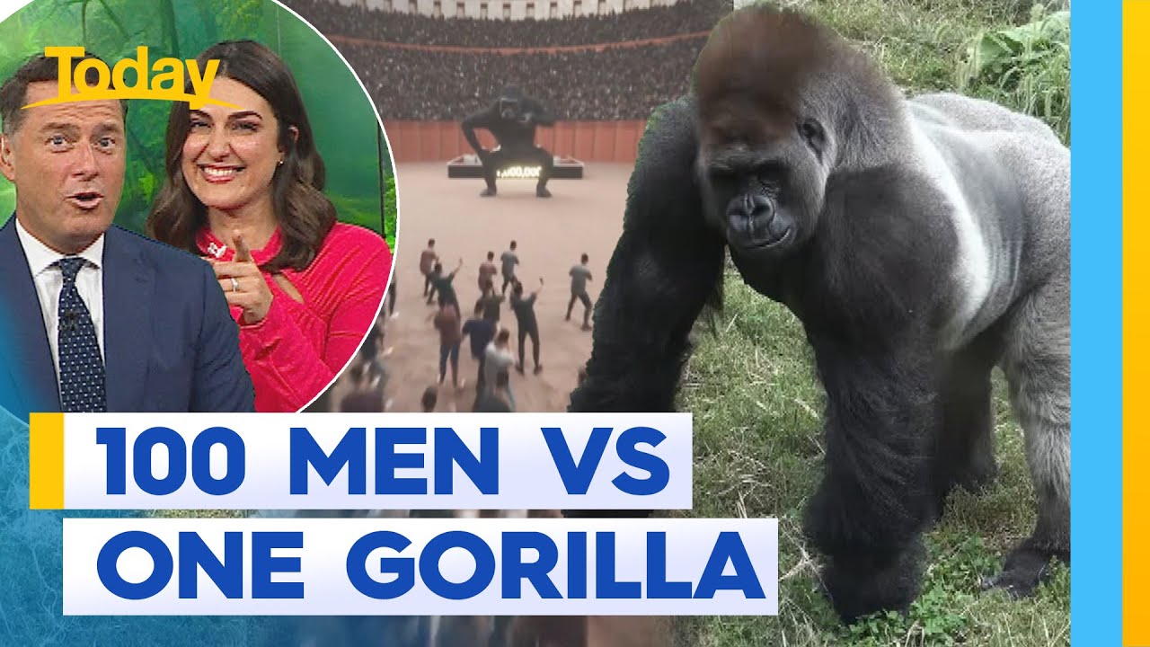 Could 100 men beat one gorilla in a fight? | Today Show Australia