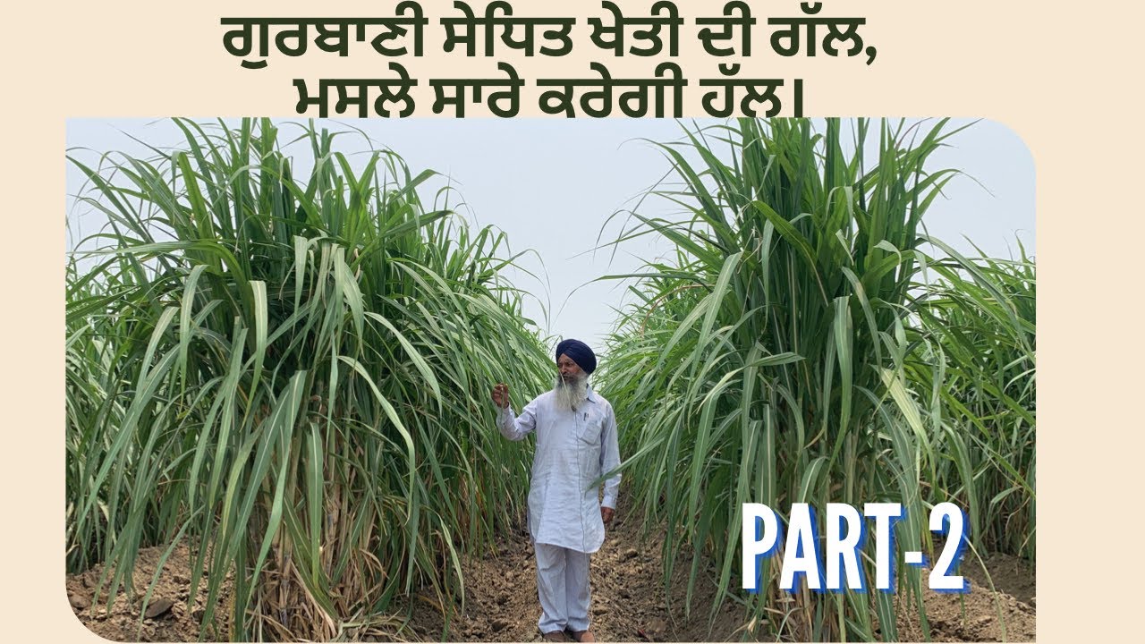 “Naturalization of agriculture” PART-2
