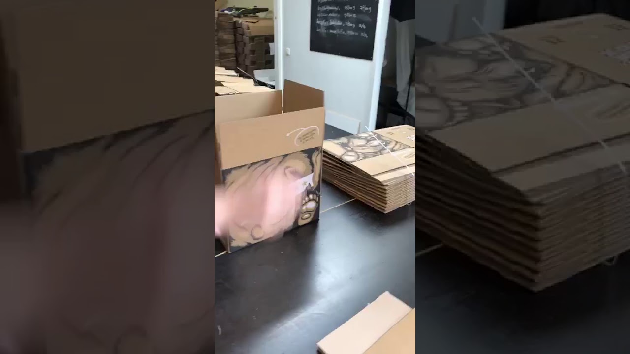 beer in a box doos vouwen   grote doos