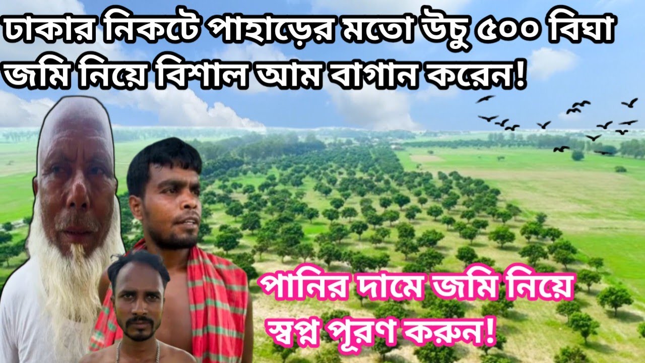 আজিমনগর চর ঢাকার নিকটে৫০০বিঘা উঁচু জমি নিয়ে বিশাল আম বাগান করেন পানি দামে জমি নিয়ে স্বপ্ন পূরণ করুন