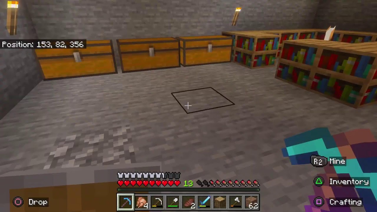 Minecraft With the bro for fun