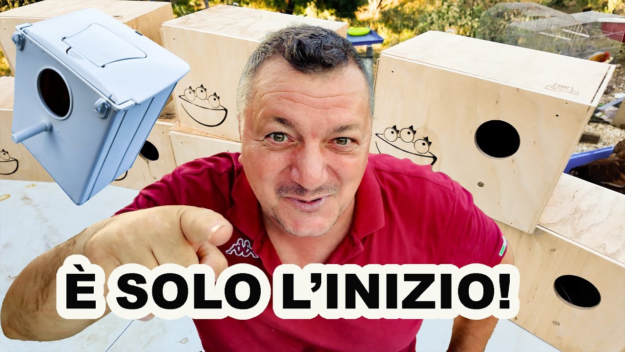 È SOLO L’INIZIO! Ho preso i nidi per una VOLIERA che non avete mai visto!