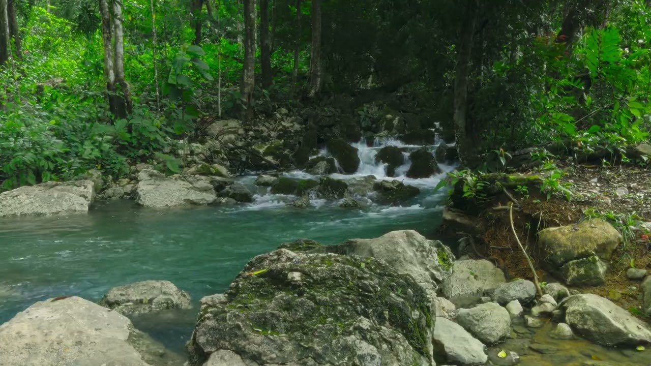 Spring Ambience 🌿 4k Crystal Clear Water Sounds for Deep Relaxation | Nature Field Recording Library