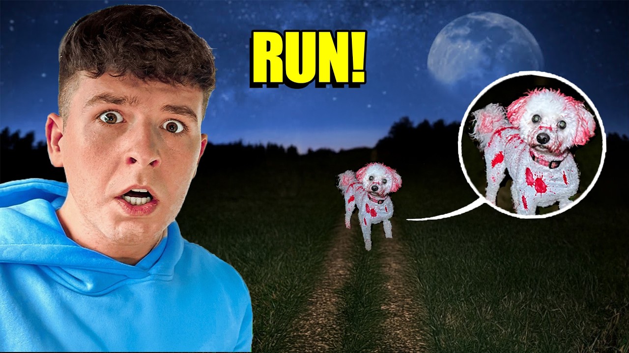 IF YOU SEE BLOOD on your DOG, call for help! (it's a trap)