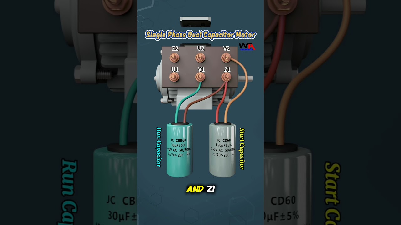 Single Phase Dual Capacitor Motor Connections.. Simple Electric Motor #motor #motors