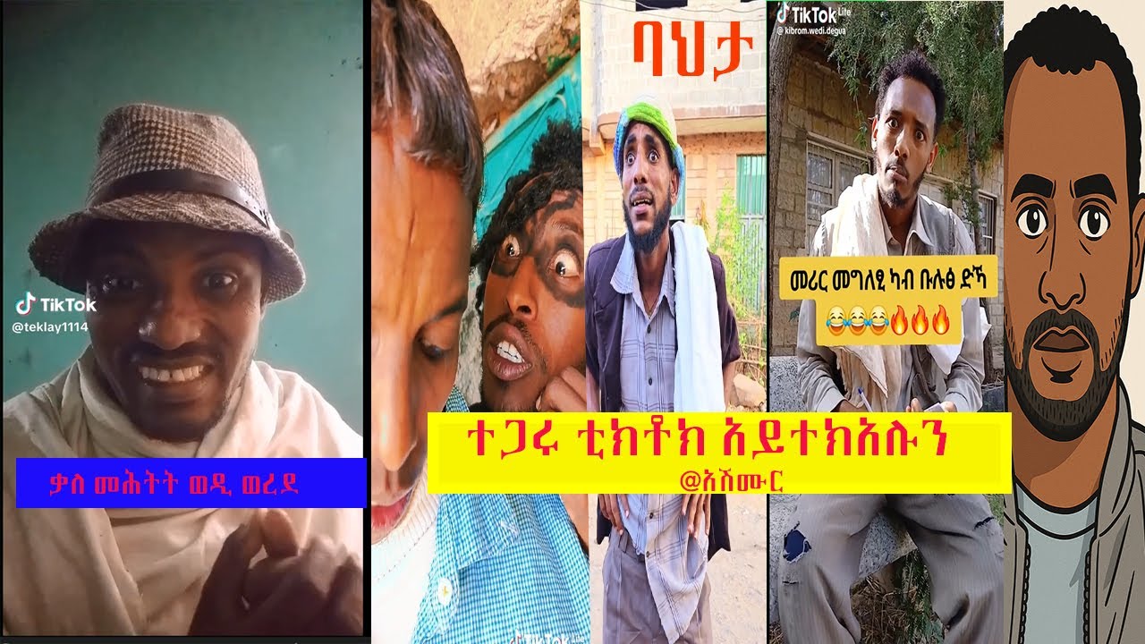 Tegaru tiKtok ተጋሩ ቲከቶከራት አይተክአሉን አሽሙር