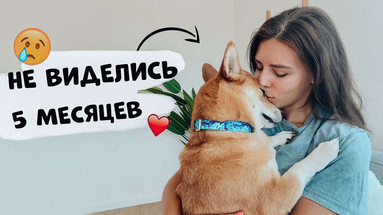 Не виделись 5 месяцев 😱 Декор КВАРТИРЫ и отдых в Черногории