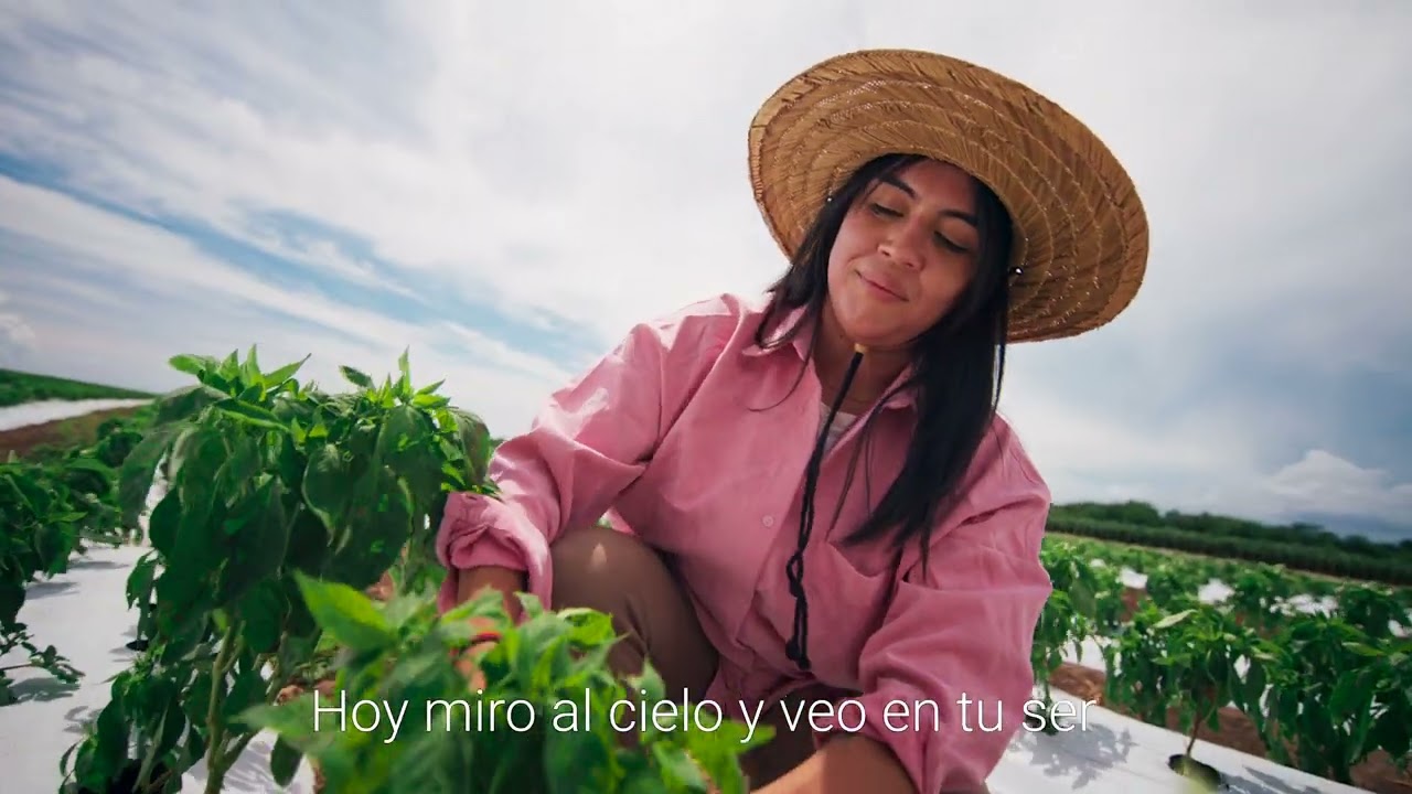 &iexcl;El 5 de noviembre vota por la Estadidad!