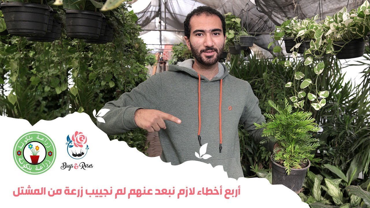 اكثر اربع اخطاء بيقع فيهم كثير من الناس و هم بيشتروا نبات جديد من المشتل