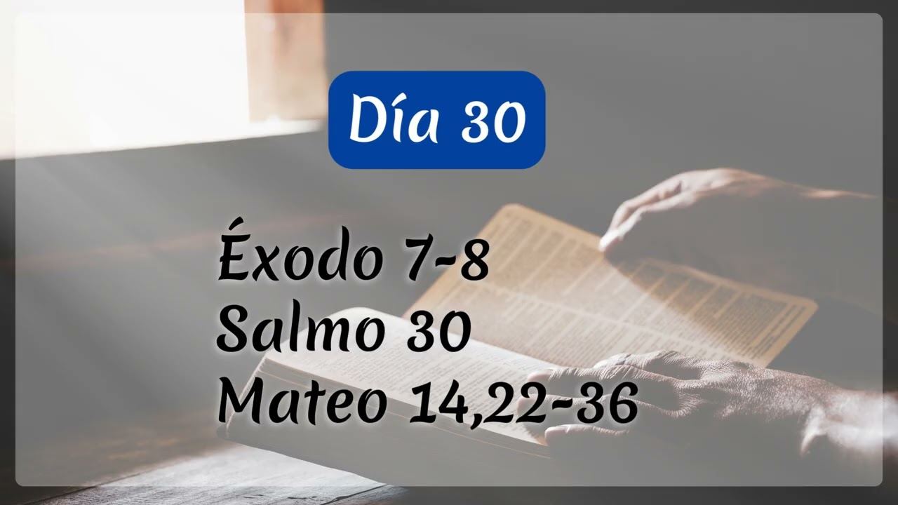Dia 30 Jesús camina sobre las aguas y nosotros con Él