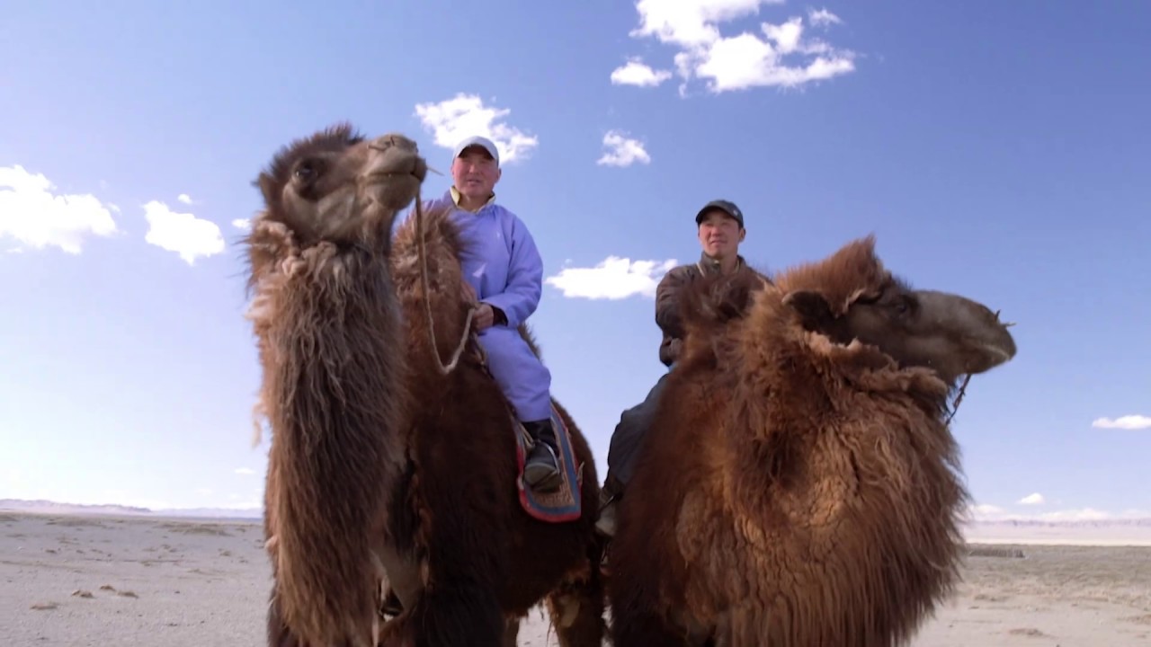Mongolia : Nomads in the Gobi Desert