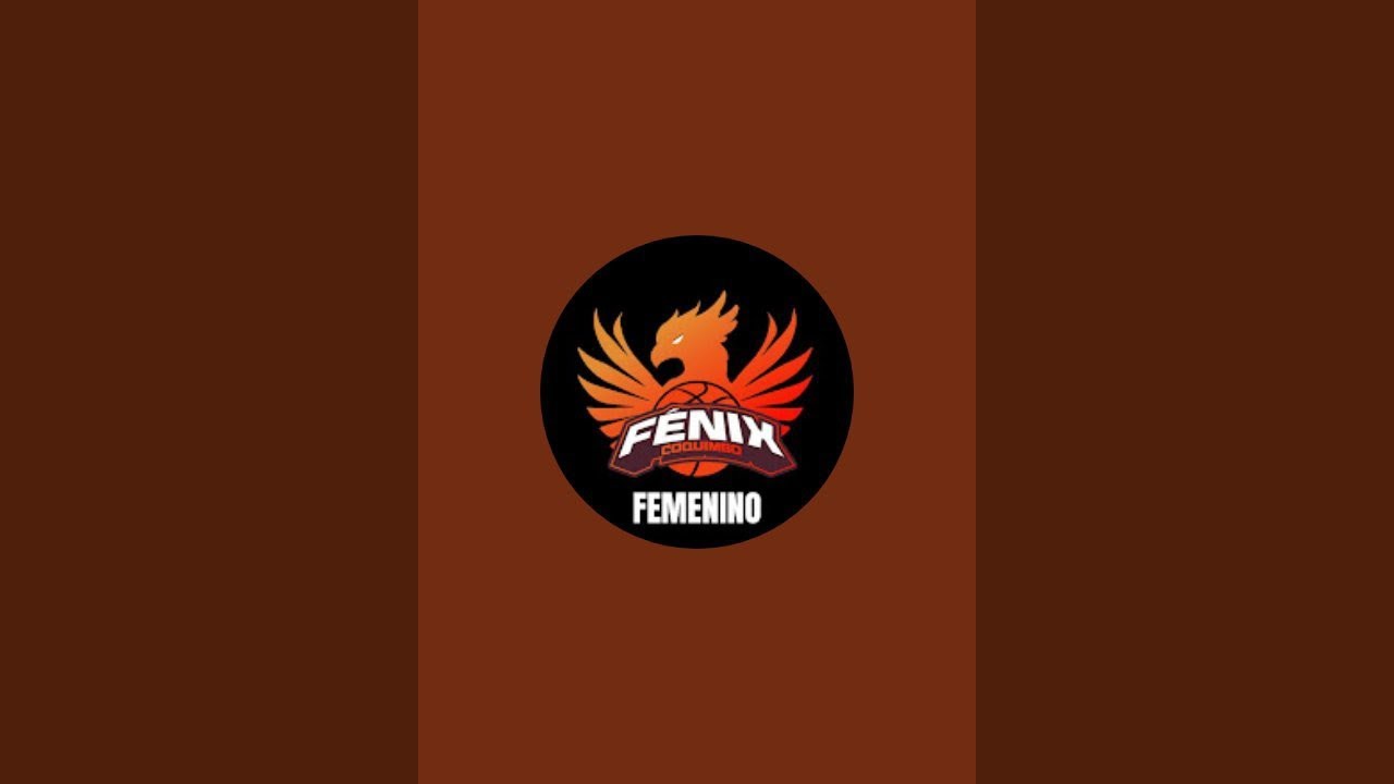 Fenixbasquetv está en vivo