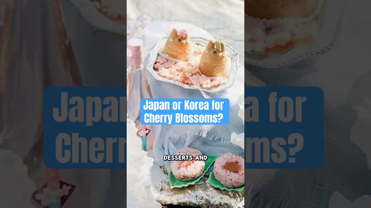 Корея или Япония для любования сакурой? 🌸🇰🇷🇯🇵 Что выбрать?