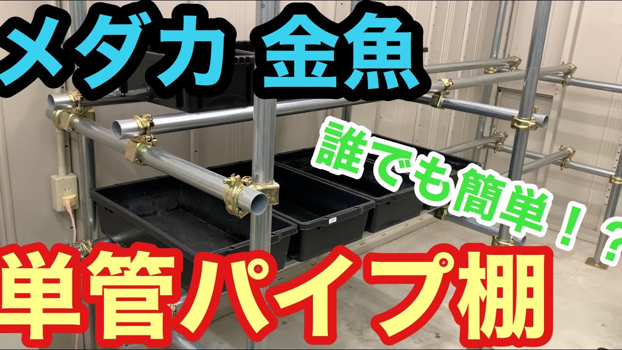 メダカ、金魚の単管パイプ棚が、思った以上に簡単だった！！