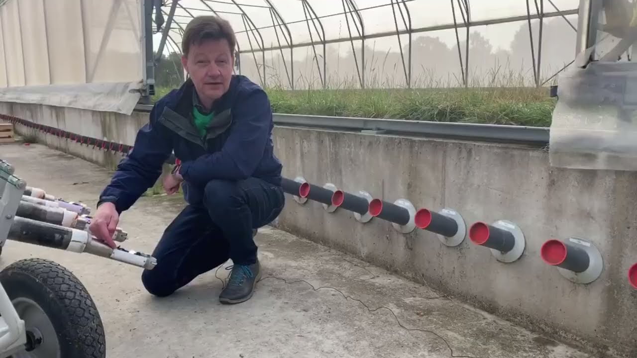 How do DLF SEEDS develop drought resistant grasses | 4turf&reg; by DLF