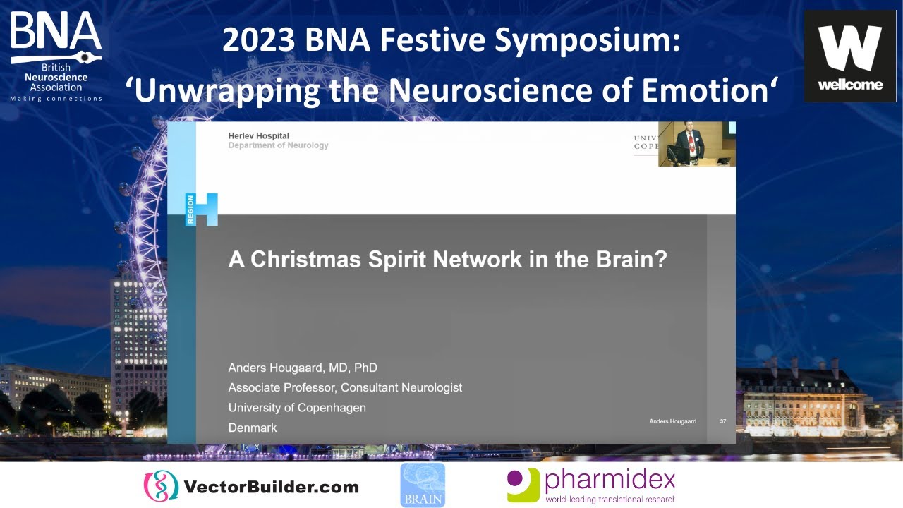 A Christmas Spirit Network in the Brain? - Dr Anders Hougaard