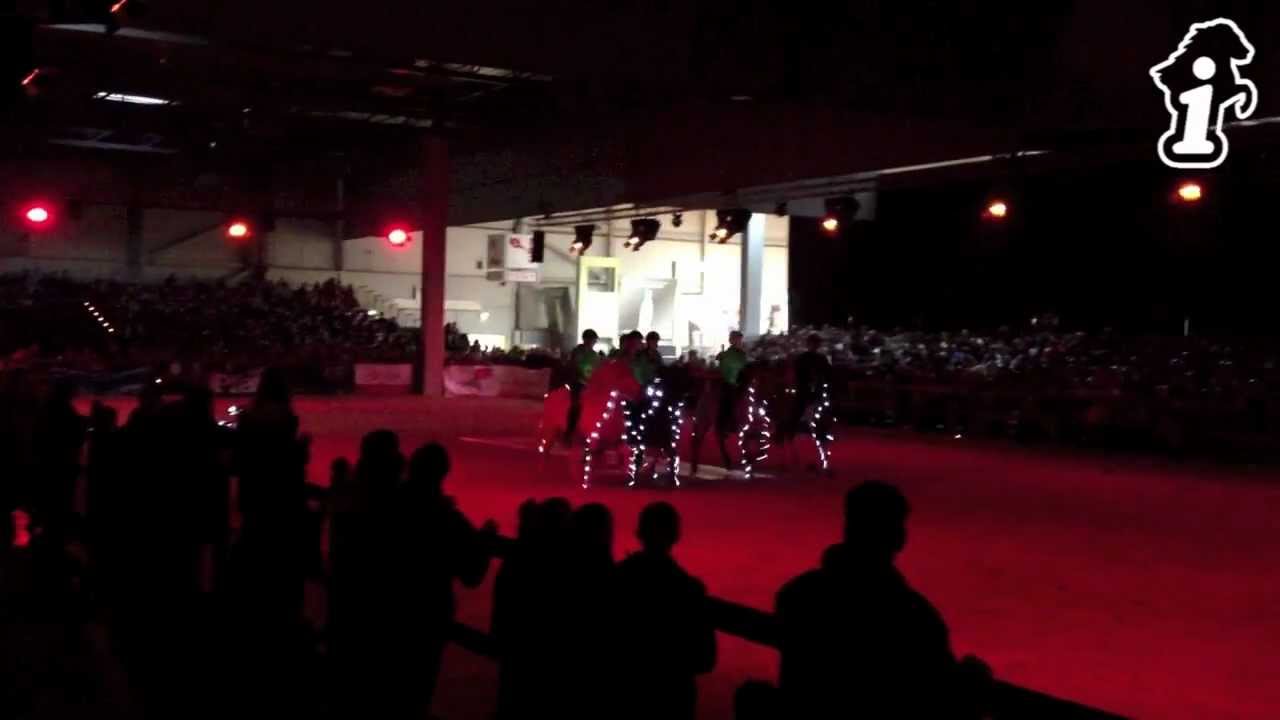 Lichter des Nordens - Islandpferde, Messe DO 2012 - isibless