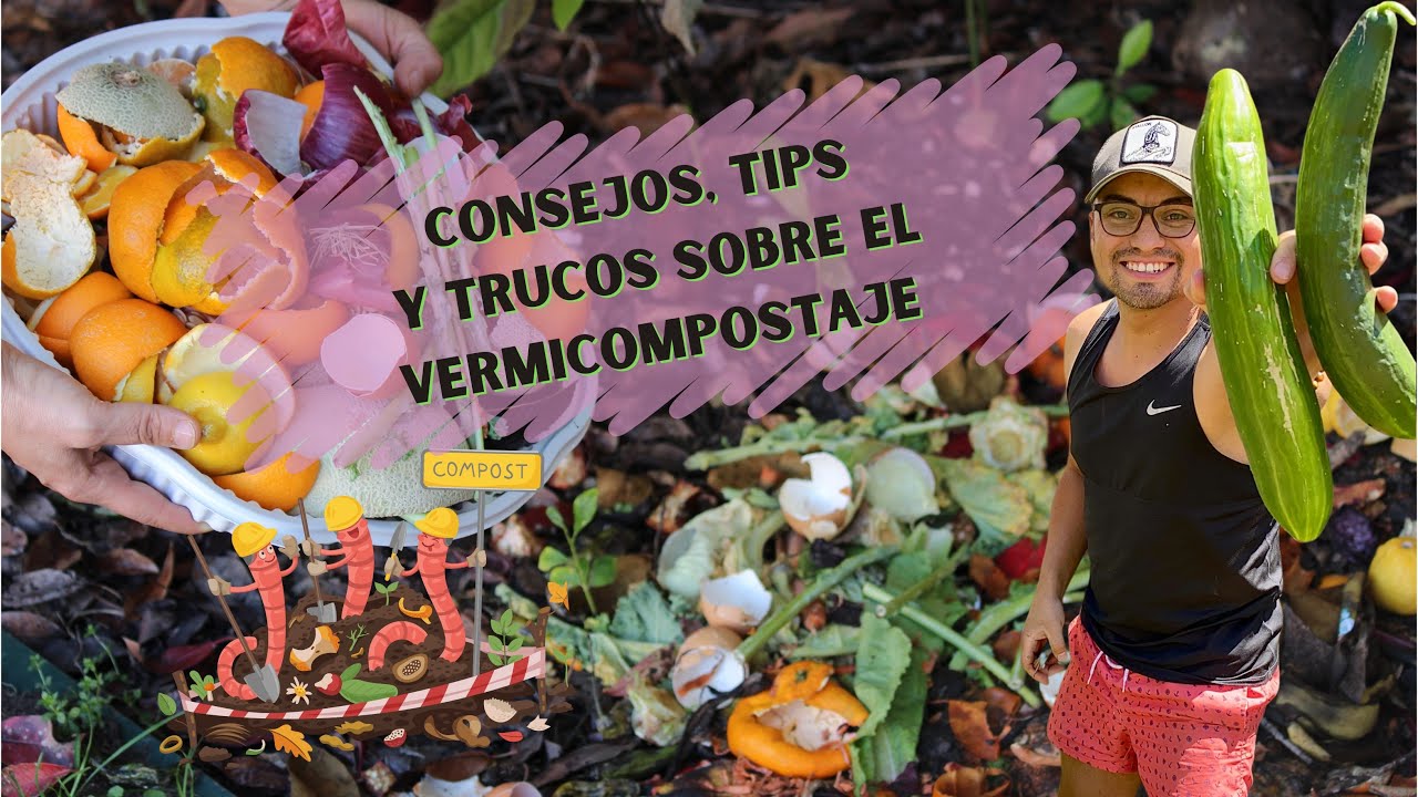 Consejos y trucos sobre el vermicompostaje