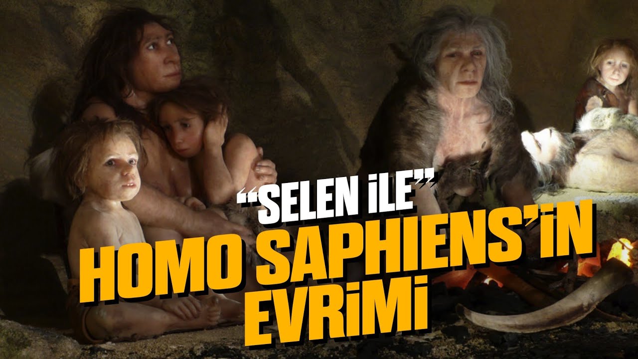 İnsan Nasıl Evrimleşti? | Ara Türler ve Fosiller (w. Selen)