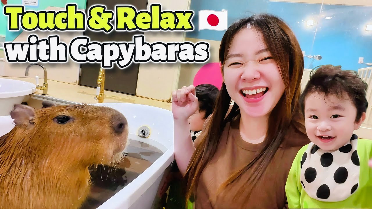 Animal Café Experience sa Japan  |Pwede mong HAWAKAN LAHAT?! |  Chill Day sa Odaiba! | BUHAY JAPAN